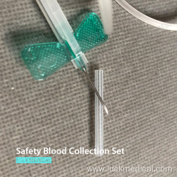 Safety Wing Needle for Blood Collection